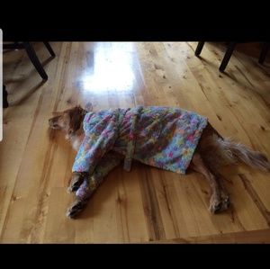 Meet your Posher, Judi